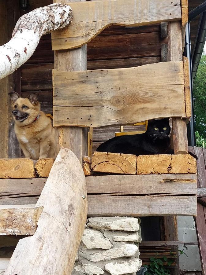 Agroturystyka Lipowewzgorze Domek Antek Tereszpol Luaran gambar